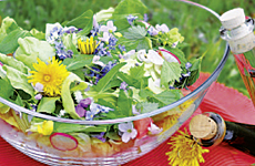 Buch Gestaltung Layout