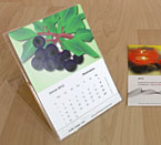 Kalender